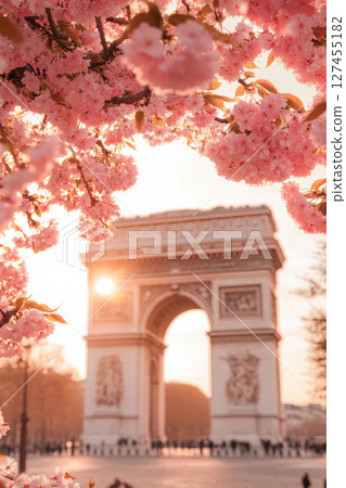 blossoms triomphe sunset paris france arching 127455182