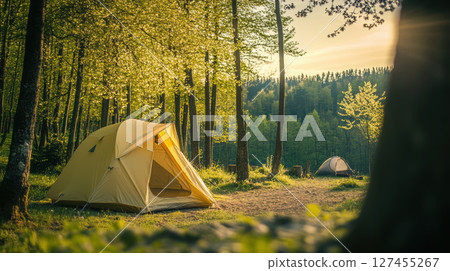 tents forest hour sunlight trees scene tents forest hour sunlight trees scene 127455267