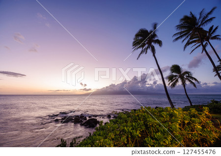 Stunning Hawaii ocean sunset with silhouettes of palm trees swaying against a vibrant sky 127455476