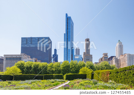 Sunny view of downtown Chicago with iconic skyscrapers rising above a lush green park 127455485