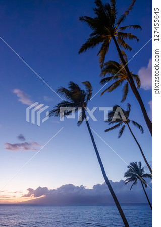 Stunning Hawaii ocean sunset with silhouettes of palm trees swaying against a vibrant sky Stunning Hawaii ocean sunset with silhouettes of palm trees swaying against a vibrant sky 127455645