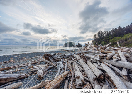 Pacific Ocean coast near Olympic National Park 127455648
