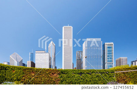 Sunny view of downtown Chicago with iconic skyscrapers rising above a lush green park 127455652