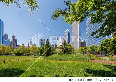 Sunny view of downtown Chicago with iconic skyscrapers rising above a lush green park meadow 127455685