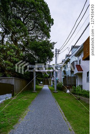 從神奈川縣葉山町葉山住宅區眺望守山神社的參拜道路 127456430