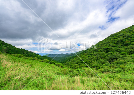 A refreshing mountain landscape with fresh greenery on Mount Kintoki in Hakone, Kanagawa Prefecture A refreshing mountain landscape with fresh greenery on Mount Kintoki in Hakone, Kanagawa Prefecture 127456443