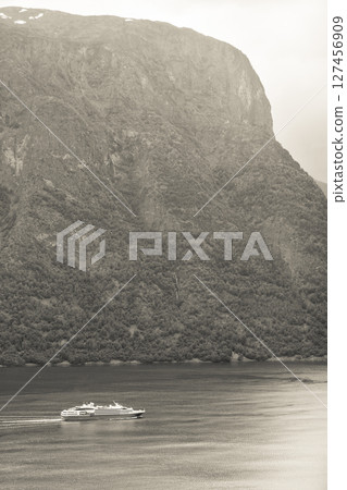 Cruise ship ferryboat on norwegian fjord 127456909