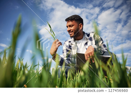 View through grass. Holding wheat and checking. Handsome Indian man is on the agricultural field 127456980