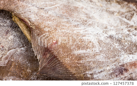 The Fish object. 127457378