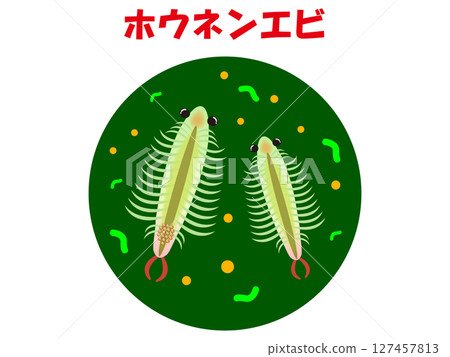 Illustration material of a shrimp observed under a microscope Illustration material of a shrimp observed under a microscope 127457813