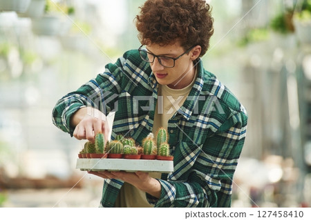 Bunch of cacti. Young man with curly hair and in glasses is in greenhouse 127458410
