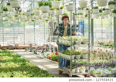 Plants in the pots. Young man with curly hair and in glasses is in greenhouse Plants in the pots. Young man with curly hair and in glasses is in greenhouse 127458415