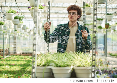Plants in the pots. Young man with curly hair and in glasses is in greenhouse 127458416