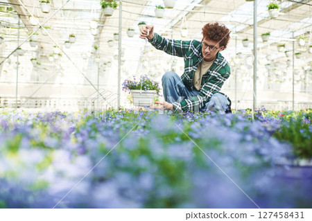 Purple colored flowers. Young man with curly hair and in glasses is in greenhouse 127458431