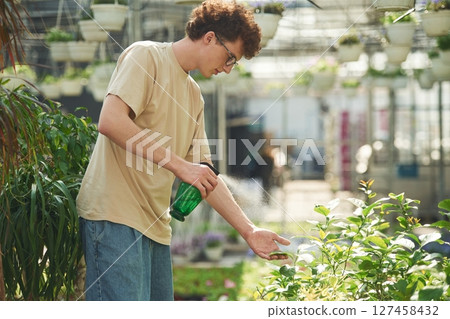 Using the green watering bottle. Young man with curly hair and in glasses is in greenhouse 127458432