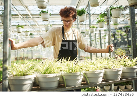 In working uniform. Young man with curly hair and in glasses is in greenhouse 127458456