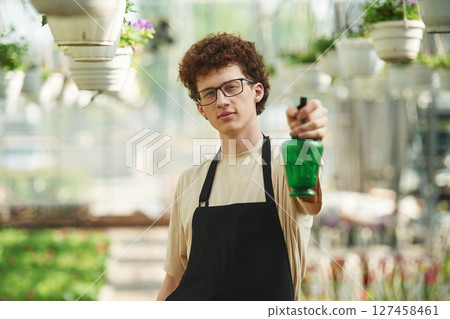 Front view, standing with watering bottle. Young man with curly hair and in glasses is in greenhouse Front view, standing with watering bottle. Young man with curly hair and in glasses is in greenhouse 127458461