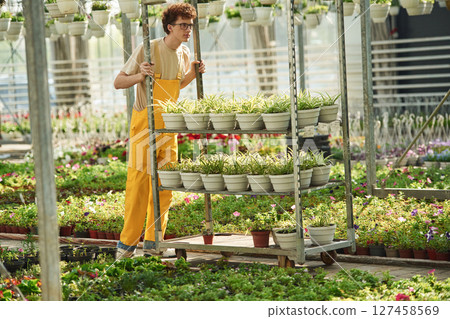 Many of the pots with flowers. Young man with curly hair and in glasses is in greenhouse 127458569