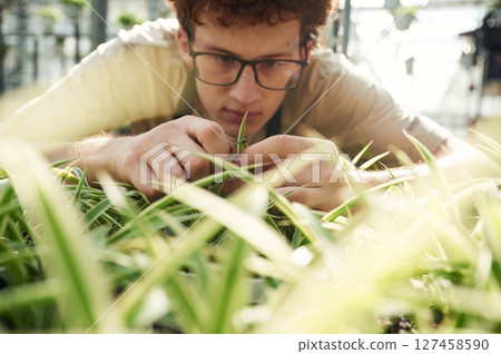 Conception of flowering. Taking care of plants. Young man with curly hair and in glasses is in greenhouse 127458590