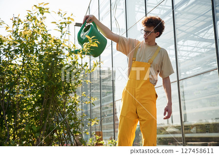 Daily watering. Young man with curly hair and in glasses is in greenhouse 127458611