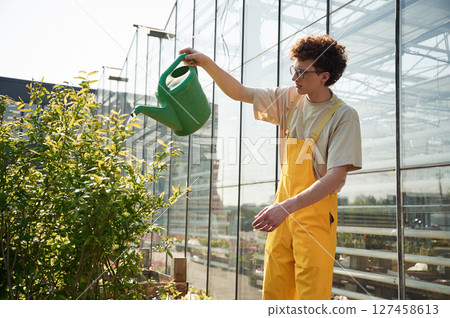 Young man with curly hair and in glasses is in greenhouse 127458613