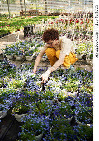 Many of the pots with flowers. Young man with curly hair and in glasses is in greenhouse 127458625