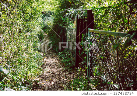 山路、動物足跡、舊路、柵欄 山路、動物足跡、舊路、柵欄 127458754