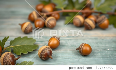 acorns 127458899