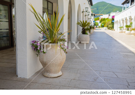 Large stone planter with tropical and purple flowers by white arcade. Mediterranean outdoor decor, summer ambiance, and floral shadow play. Copy space 127458991