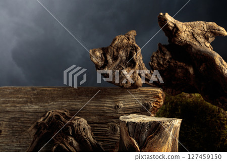 Composition with natural wooden snags and dry stump for advertising eco products. Composition with natural wooden snags and dry stump for advertising eco products. 127459150
