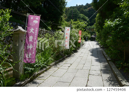 京都市左京區大豐神社參道“哲學之道” 京都市左京區大豐神社參道“哲學之道” 127459406