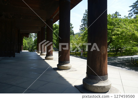 南禪寺：京都市左京區三門柱及新綠庭院 127459500