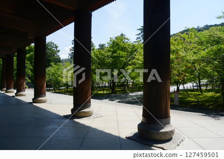 Nanzenji Temple: Pillars of the Sanmon Gate and the grounds of fresh greenery, Sakyo Ward, Kyoto City 127459501