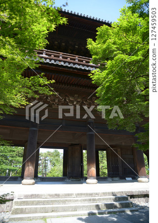 Nanzenji Temple, Sanmon Gate with Fresh Greenery, Sakyo Ward, Kyoto City 127459503