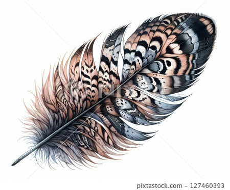 Detailed Brown and Grey Bird Feather on White Background 127460393