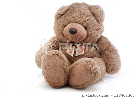 Big brown teddy bear sitting 127462365