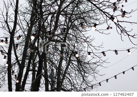 Colored lanterns light at night. 127462407