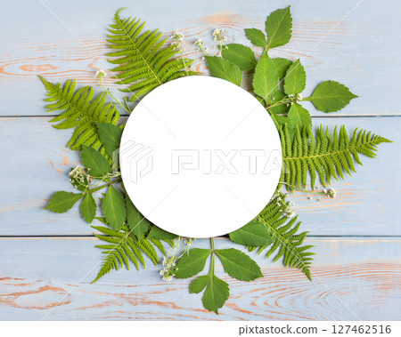 A background of green leaves with a place for text in the center. World Environment day concept. World Nature Conservation Day. Ecology concept. A background of green leaves with a place for text in the center. World Environment day concept. World Nature Conservation Day. Ecology concept. 127462516