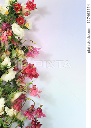 Beautiful still life with cream tea rose and columbine flowers on elegant modern table,Abstract flower arrangement. template for your design , minimalist beauty concept, floral card Beautiful still life with cream tea rose and columbine flowers on elegant modern table,Abstract flower arrangement. template for your design , minimalist beauty concept, floral card 127463554