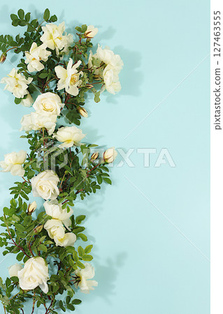 Beautiful still life with cream tea rose flowers on elegant modern table,Abstract flower arrangement. template for your design , minimalist beauty concept, flower card 127463555