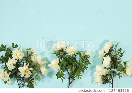 Beautiful still life with branches of wild rose hips and tea rose on elegant modern table,Abstract flower arrangement. template for your design, minimalist beauty concept, flower card. 127463556