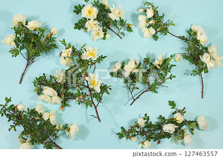 Beautiful still life with branches of wild rose hips and tea rose on elegant modern table,Abstract flower arrangement. template for your design, minimalist beauty concept, flower card. Beautiful still life with branches of wild rose hips and tea rose on elegant modern table,Abstract flower arrangement. template for your design, minimalist beauty concept, flower card. 127463557