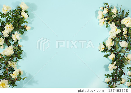 Beautiful still life with branches of wild rose hips and tea rose on elegant modern table,Abstract flower arrangement. template for your design, minimalist beauty concept, flower card. 127463558