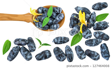 Fresh honeysuckle blue berry isolated on white background. Top view with copy space for your text. . Flat lay. Fresh honeysuckle blue berry isolated on white background. Top view with copy space for your text. . Flat lay. 127464008
