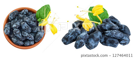 Fresh honeysuckle blue berry in ceramic bowl isolated on white background with full depth of field. Top view. Flat lay Fresh honeysuckle blue berry in ceramic bowl isolated on white background with full depth of field. Top view. Flat lay 127464011