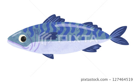 Mackerel watercolor hand-drawn illustration Mackerel watercolor hand-drawn illustration 127464519