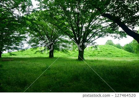 7981 Teppoyama Tomb 127464520