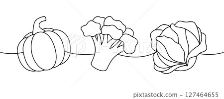 Raw pumpkin, broccoli, cabbage one line continuous drawing. Fresh organic vegetables. Vector illustration Raw pumpkin, broccoli, cabbage one line continuous drawing. Fresh organic vegetables. Vector illustration 127464655