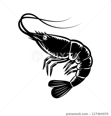 Illustration of shrimp in monochrome style. Shrimp in logo style. 127464970