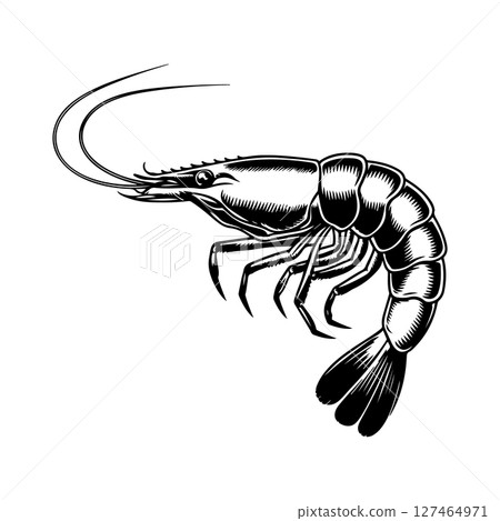 Illustration of shrimp in monochrome style. Shrimp in logo style. Design element for logo, emblem, sign, badge, poster. Vector illustration Illustration of shrimp in monochrome style. Shrimp in logo style. Design element for logo, emblem, sign, badge, poster. Vector illustration 127464971